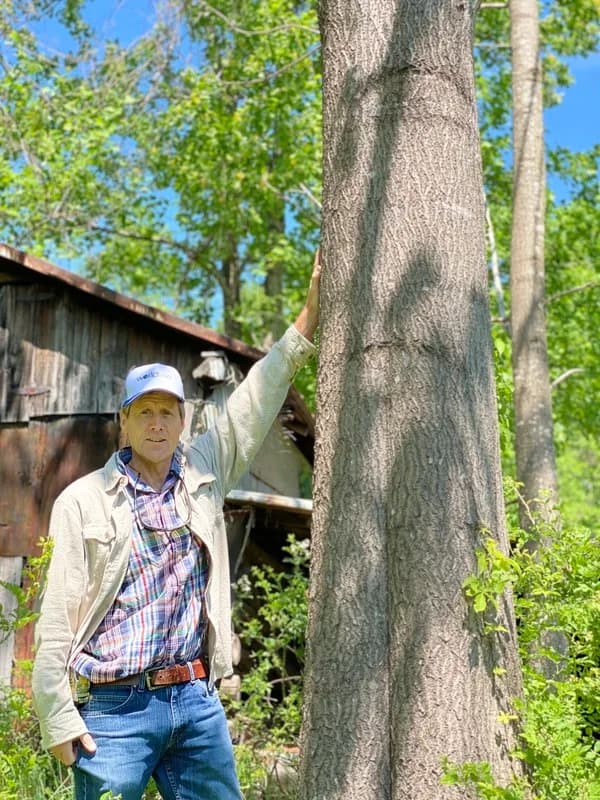 A grower rests his hand on the thick trunk of a ten-year-old paulownia at Powell farm