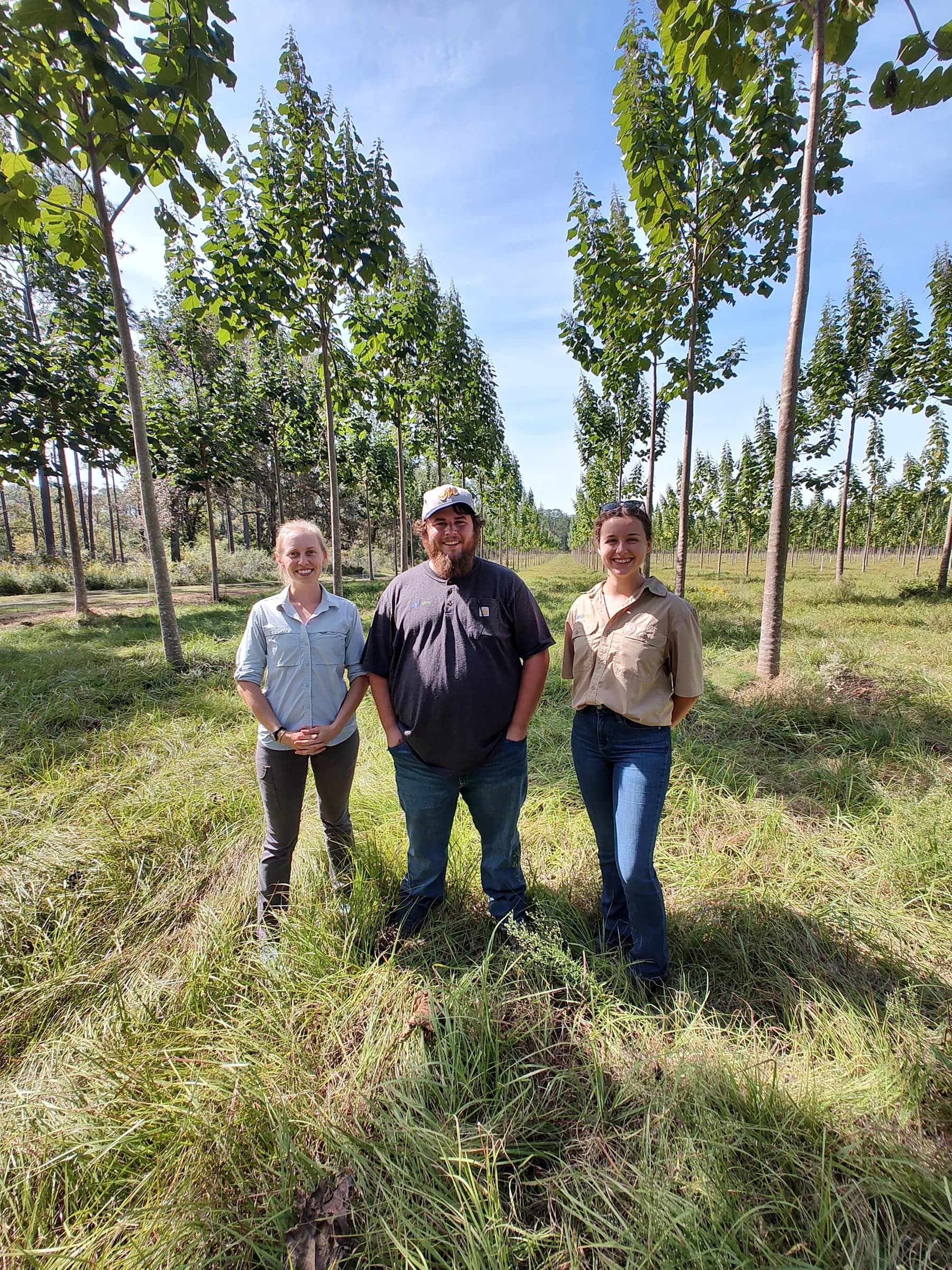 A farming couple and their dog beneath a young paulownia