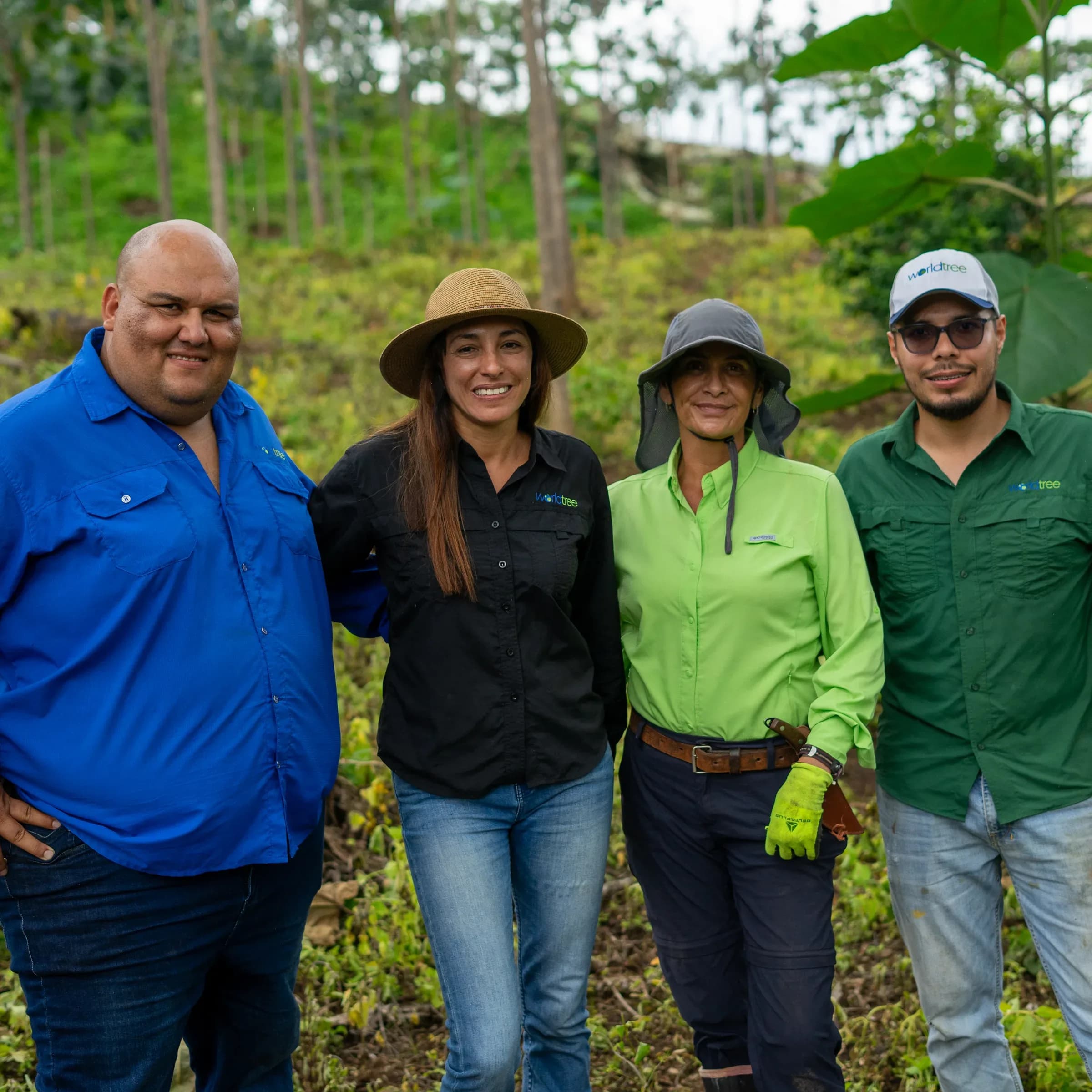 Field operations on a World Tree partner farm