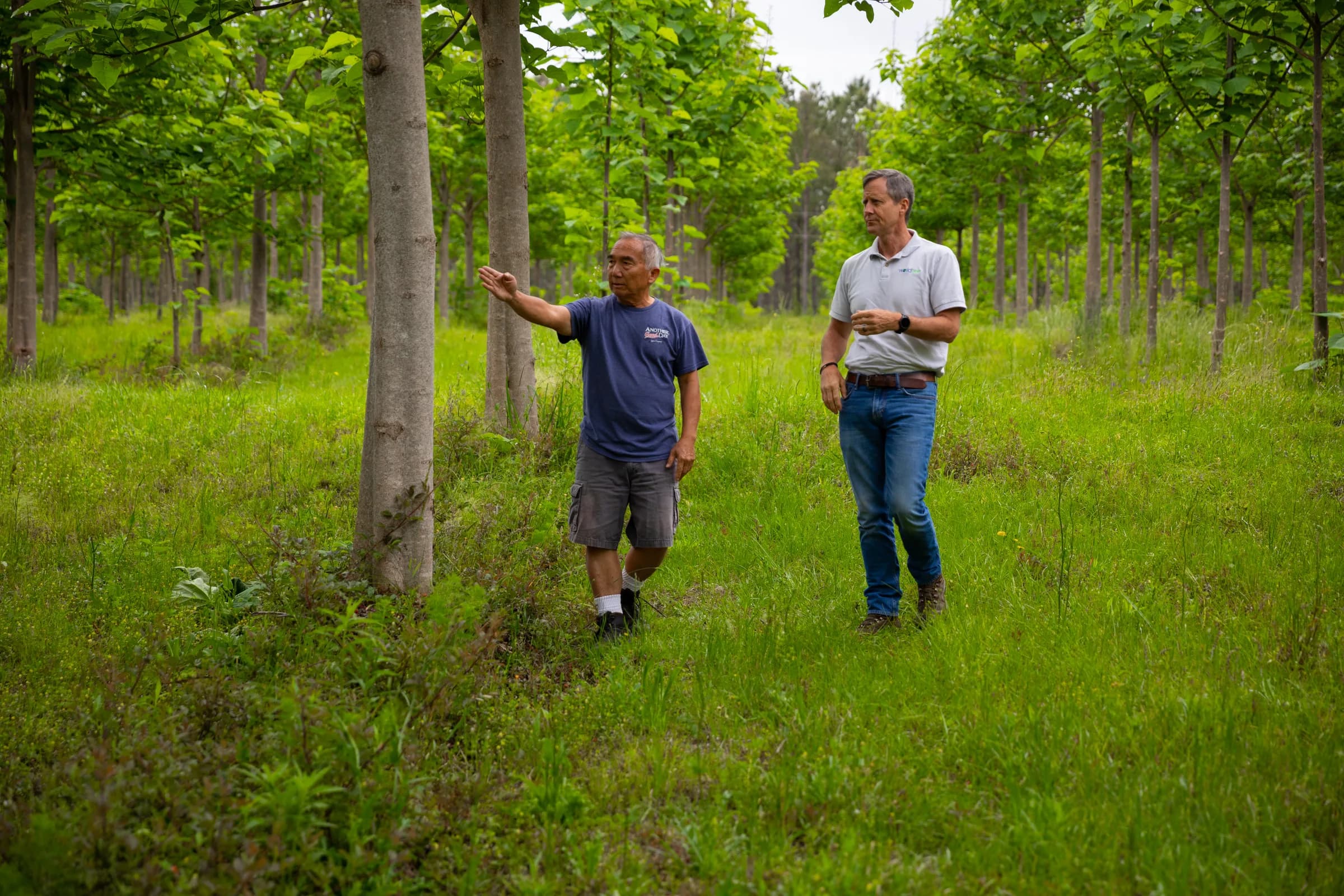 Mariana Alfaro of the World Tree field team beside a paulownia trunk